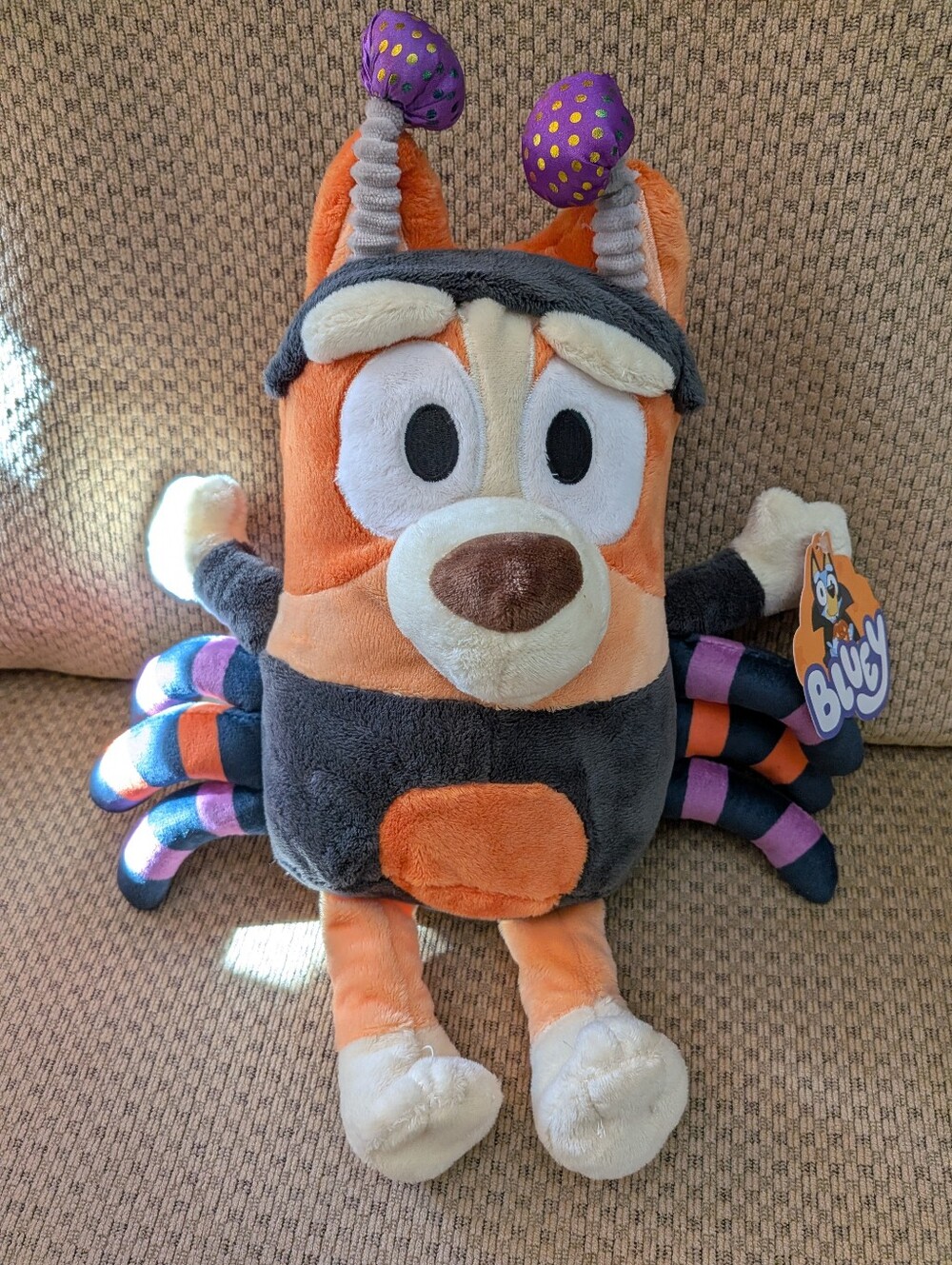 New Bluey Halloween Bingo In Spider Costume